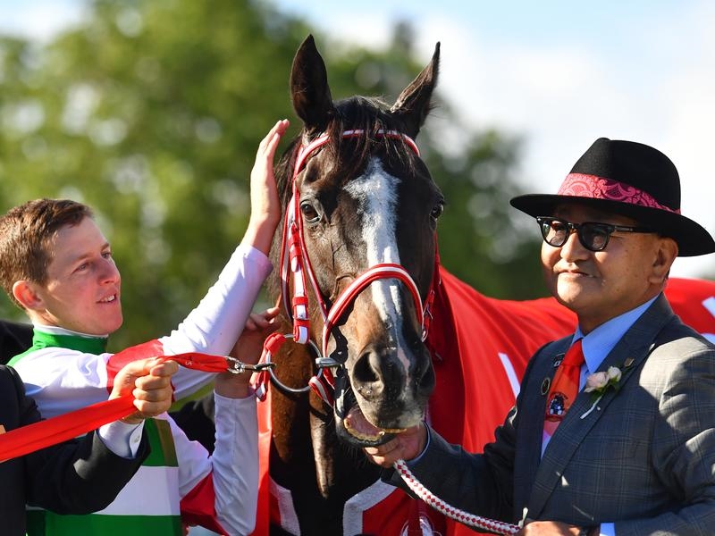 Cox Plate Yahagi | Just Horse Racing