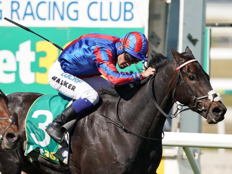 Cup Arran | Just Horse Racing