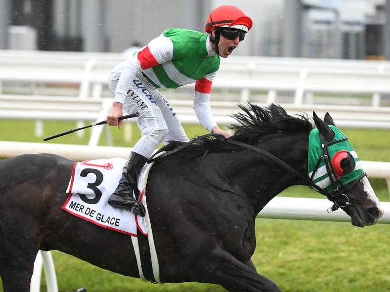 Cup Glace | Just Horse Racing