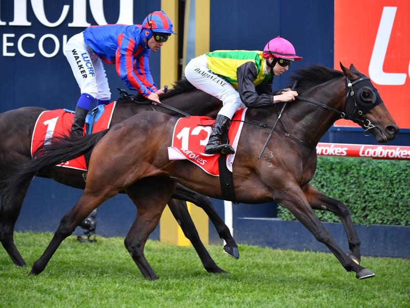 Cups Chosen | Just Horse Racing
