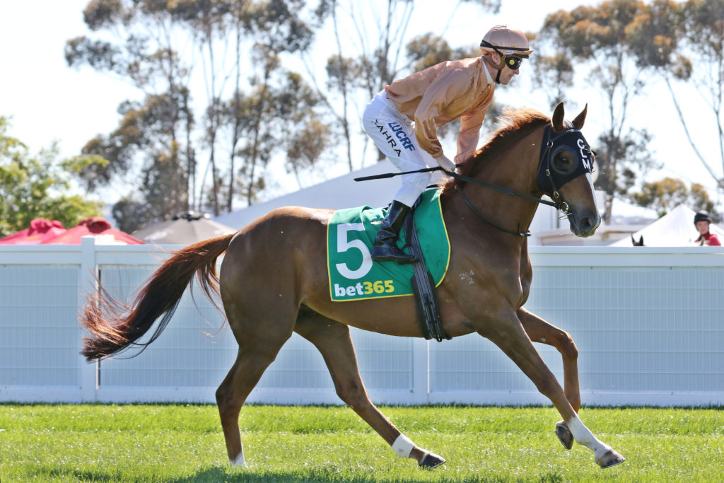 Dal Harraild_23-10-2019_GEN_Geelong__2187 | Just Horse Racing