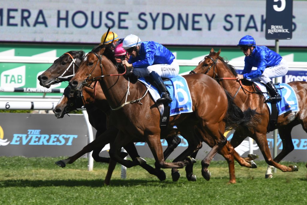 Deprive 191019 4241 | Just Horse Racing
