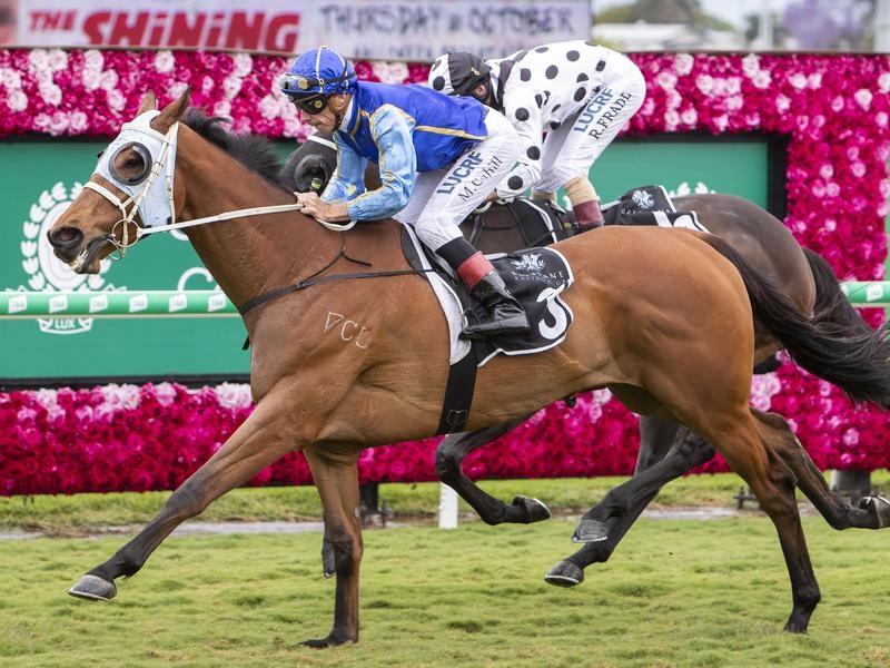 Eagle Farm Barnabus | Just Horse Racing