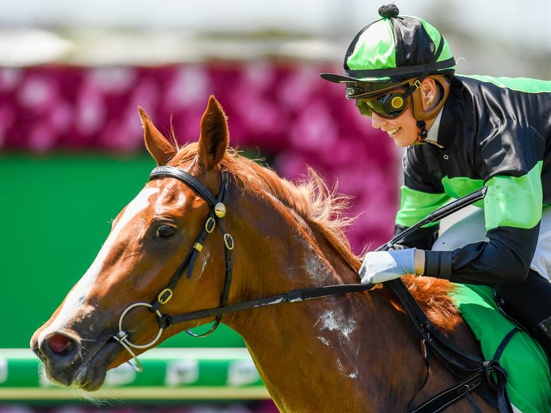 Eagle Farm Kiss | Just Horse Racing