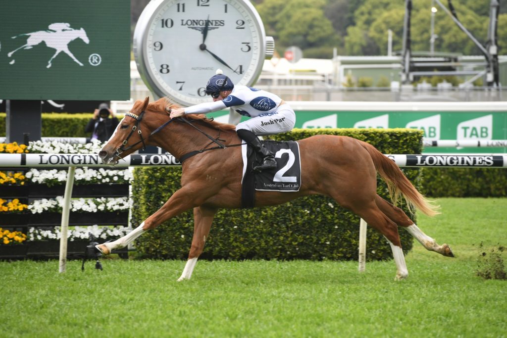 Every Rose 051019 9758 | Just Horse Racing