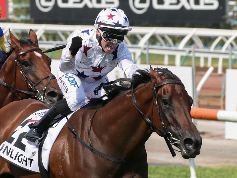 Flemington Gilgai | Just Horse Racing