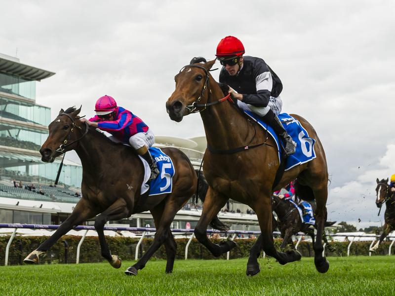 Flemington Maribyrnong | Just Horse Racing