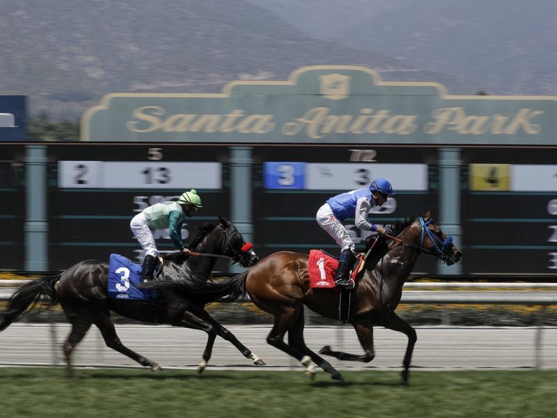Galllops Breeders Cup | Just Horse Racing