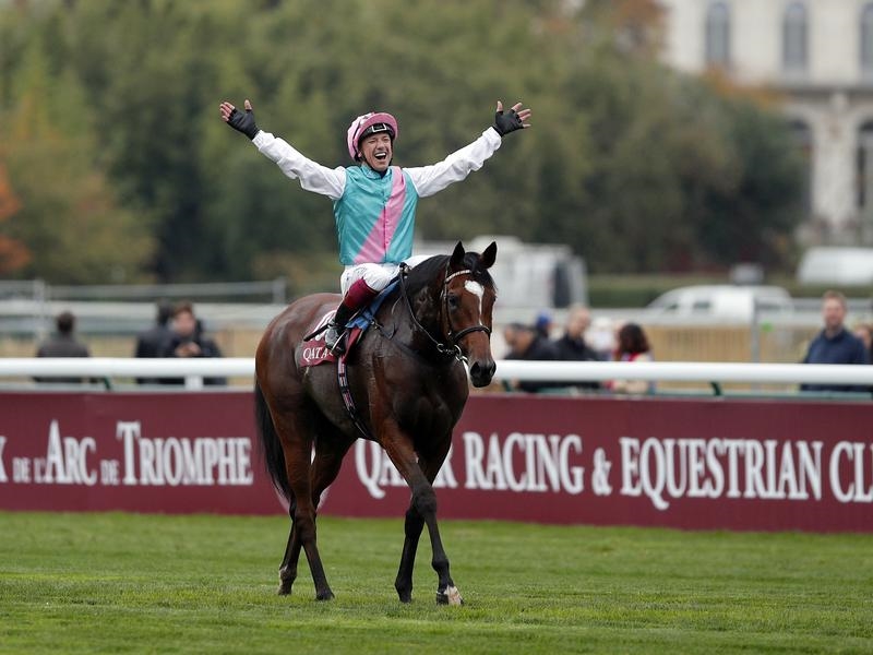 Gallops Arc | Just Horse Racing
