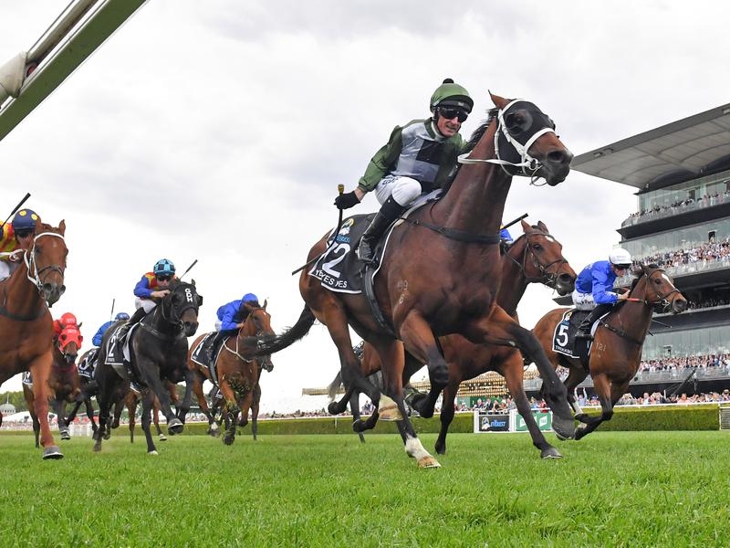 Gallops Coolmore | Just Horse Racing