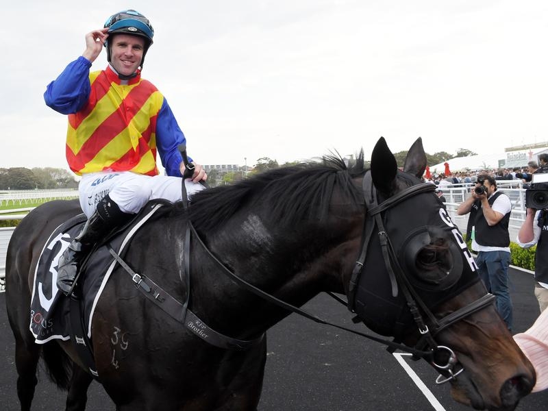 Gallops Everest Pierata | Just Horse Racing
