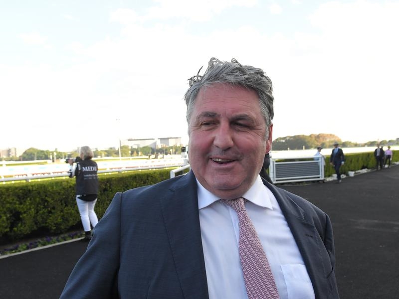 Gallops Freedman | Just Horse Racing