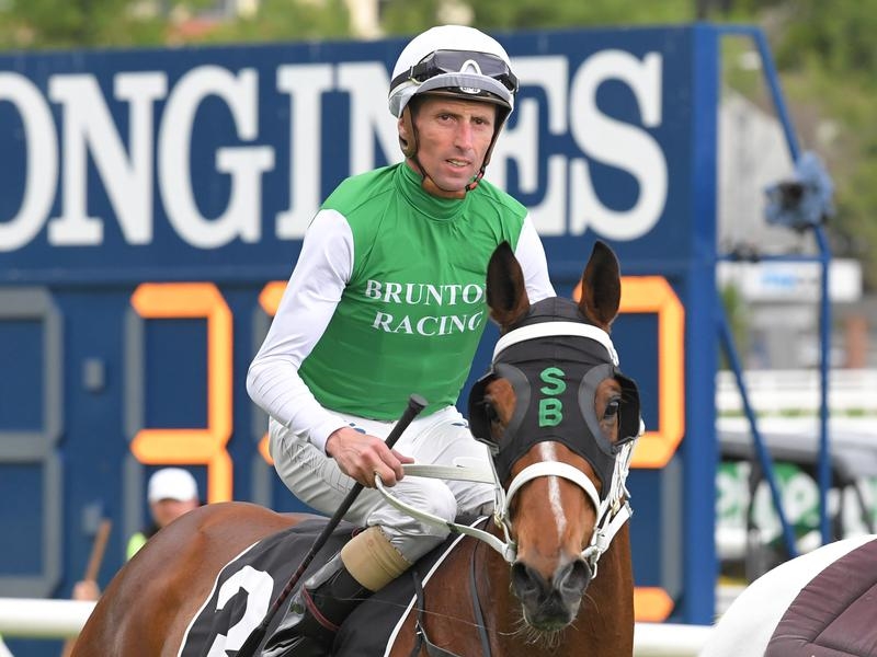 Gallops Golden Eagle | Just Horse Racing