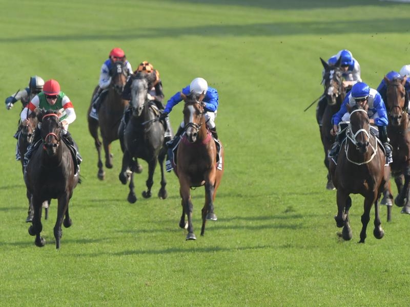 Gallops Japanese | Just Horse Racing