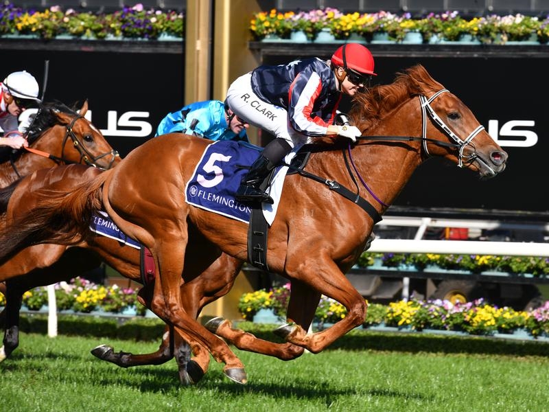 Gallops Plate | Just Horse Racing