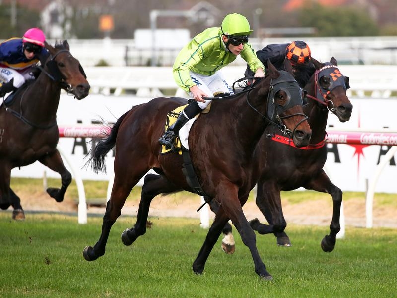 Gallops Sense | Just Horse Racing
