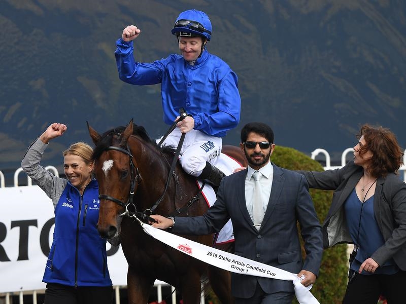 Gallops Solution | Just Horse Racing