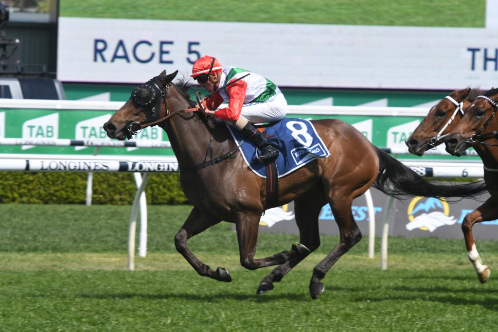 Handle The Truth 191019 4043 | Just Horse Racing