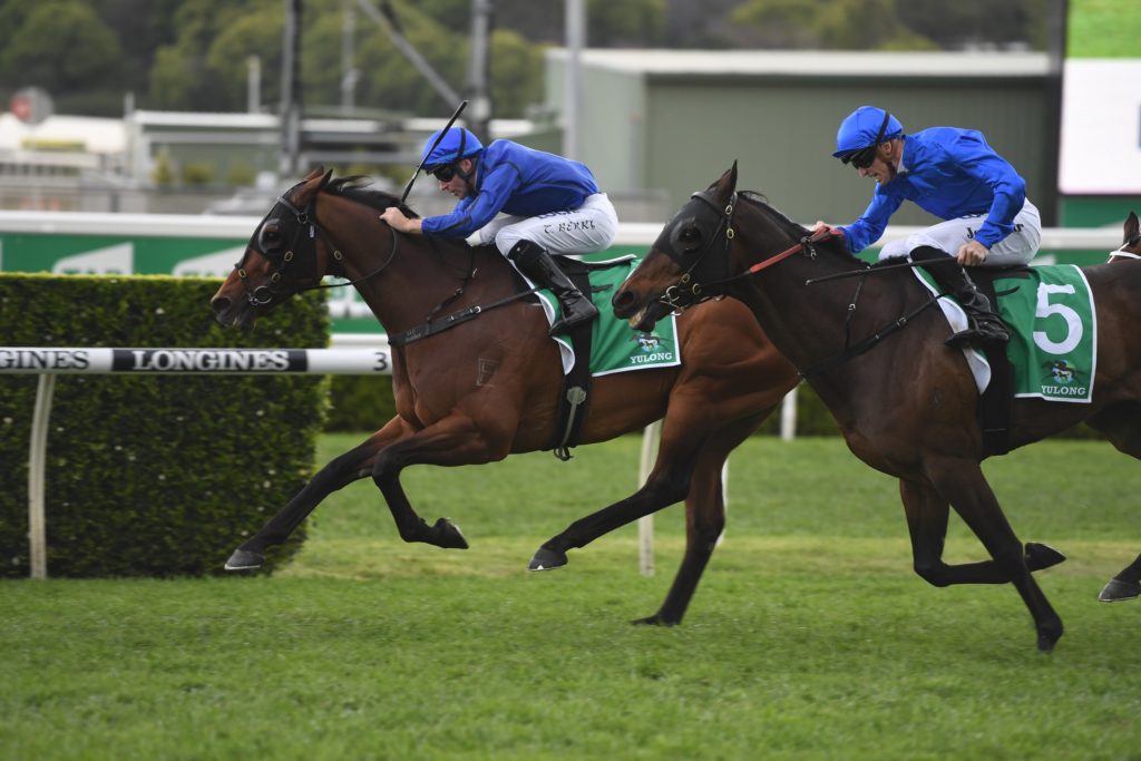 Happy Clapper 191019 4747 | Just Horse Racing