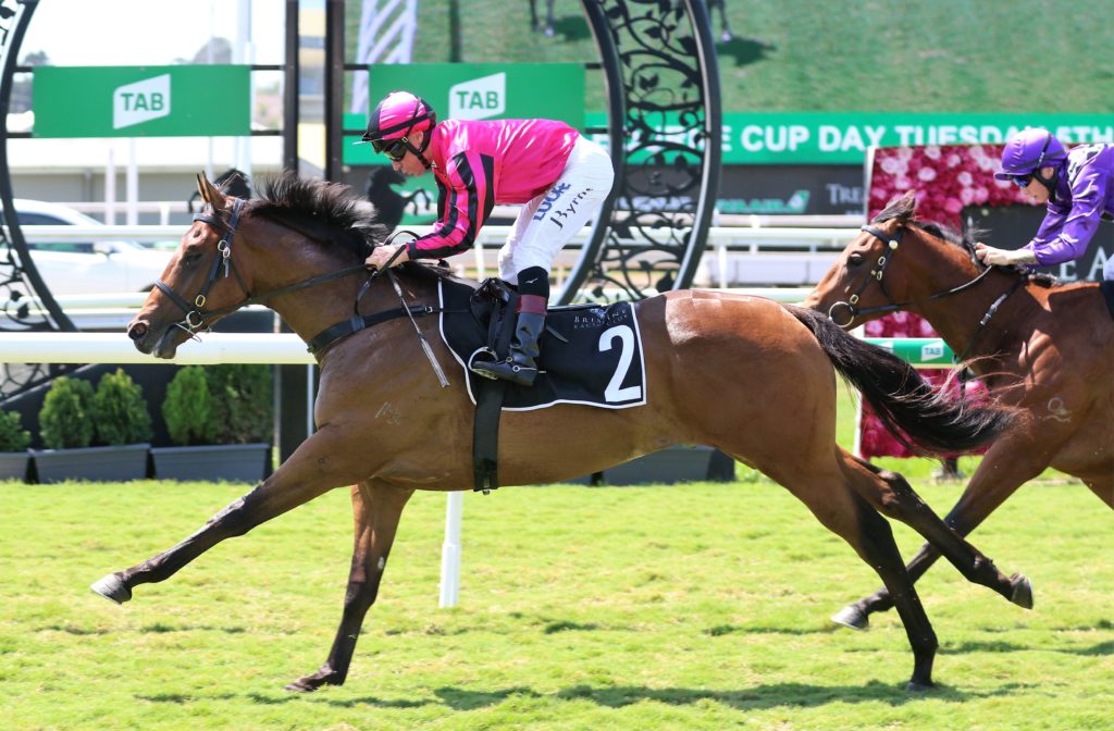 Kavak (3) | Just Horse Racing