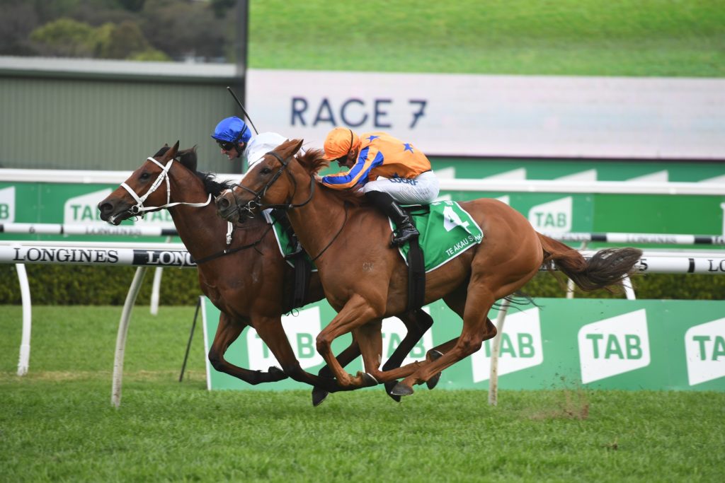 Kolding 051019 0693 | Just Horse Racing