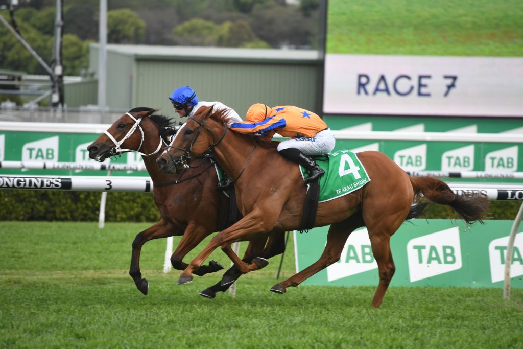 Kolding 051019 0694 | Just Horse Racing