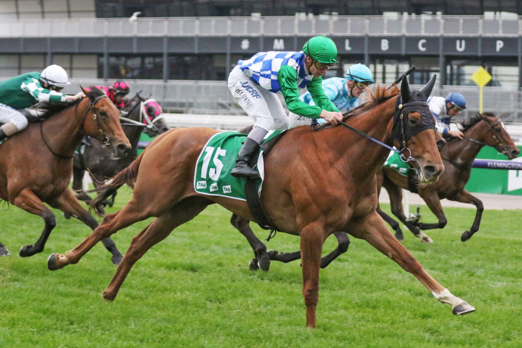 Moonlight Maid,Edward Manifold Stakes,Group 2_05-10-2019_WIN_Flemington_9__1666 | Just Horse Racing