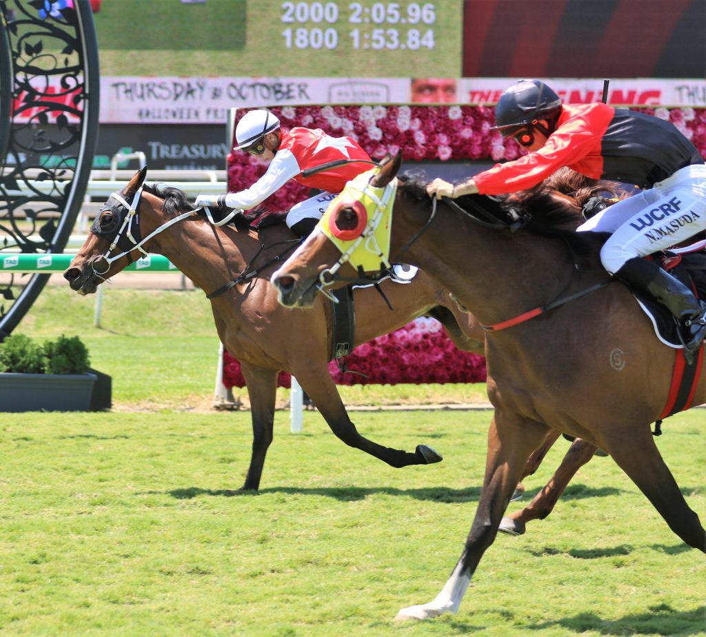 Partnership (1) | Just Horse Racing