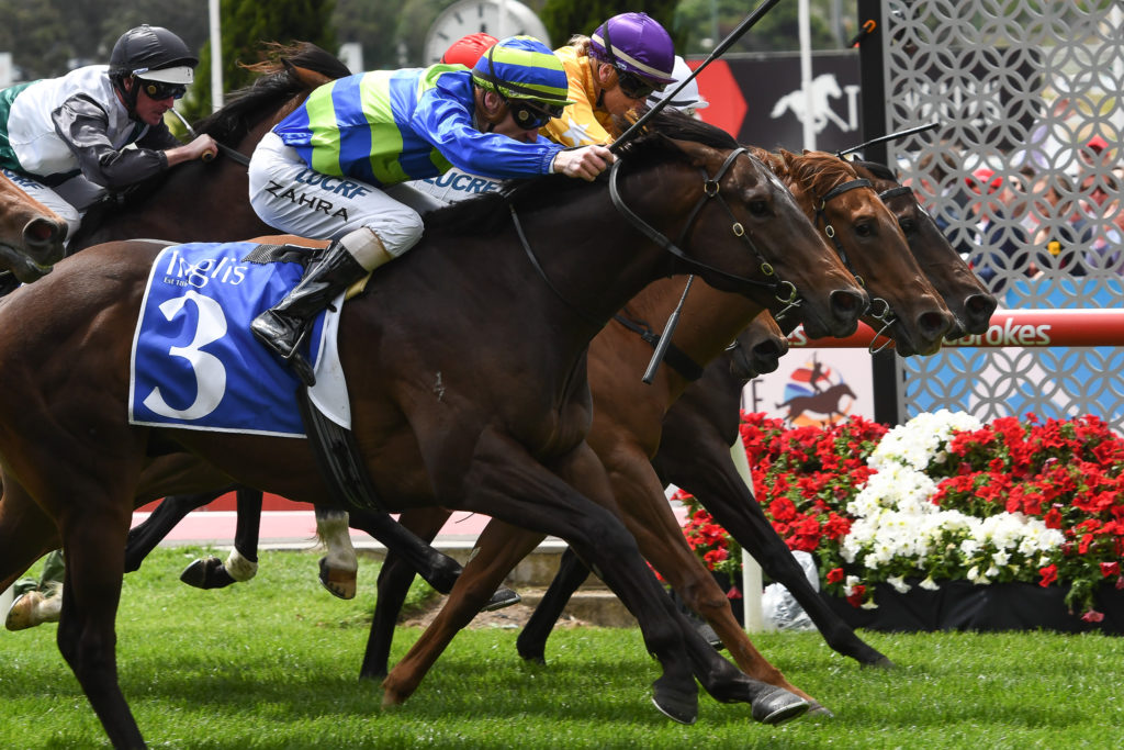 Ideas Man_2793 | Just Horse Racing