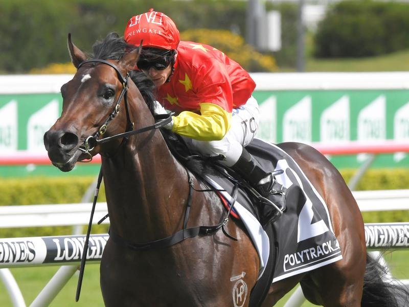 Randwick Cosmic | Just Horse Racing