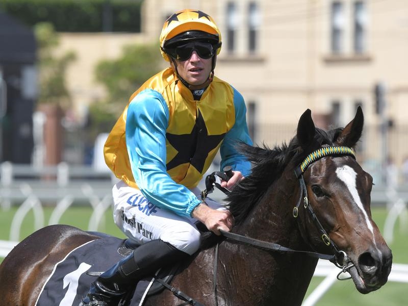 Randwick Diamond | Just Horse Racing