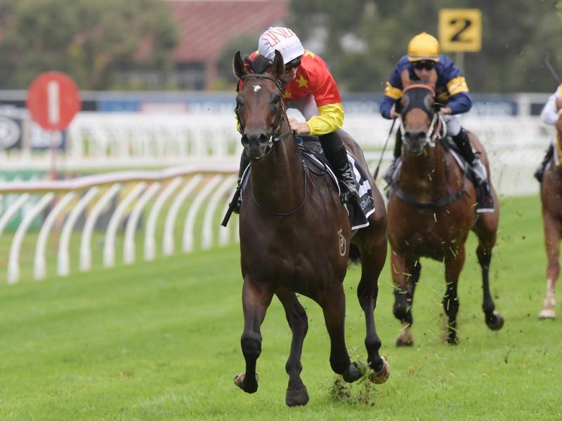 Randwick Force | Just Horse Racing