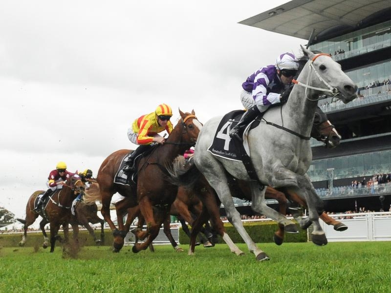 Randwick Hawkes | Just Horse Racing