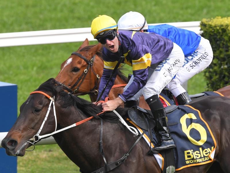 Randwick Premiere | Just Horse Racing