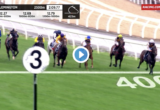Hotham Handicap (Lexus Stakes) results and replay - 2019