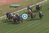 Rosehill Gold Cup results and replay - 2019