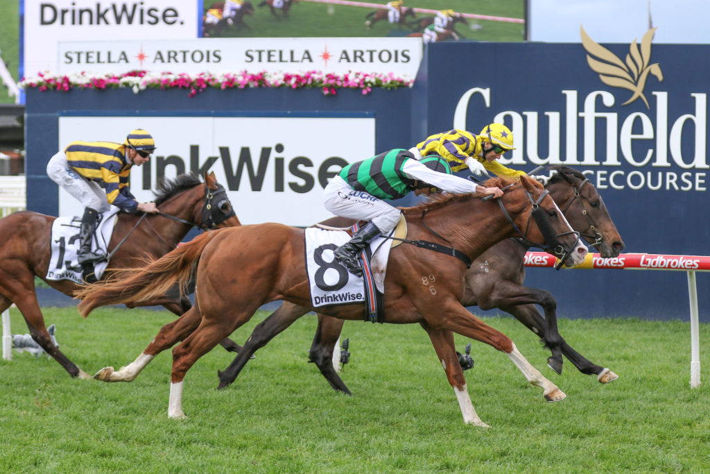 Serious Liaison_16-10-2019_WIN_Caulfield_4__485 | Just Horse Racing