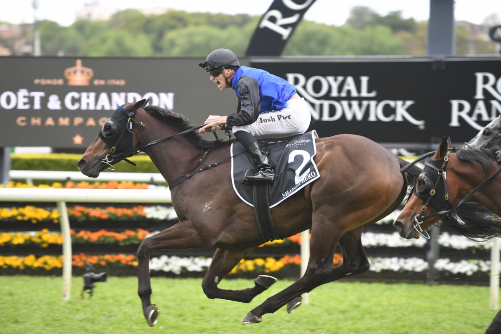 Shadow Hero 121019 2963 | Just Horse Racing