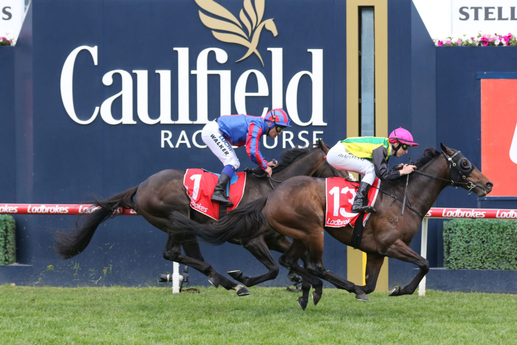 The Chosen One,Herbert Power Stakes,Group 2_12-10-2019_WIN_Caulfield_5__977 | Just Horse Racing