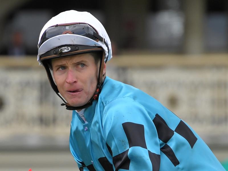 Thousand Guineas | Just Horse Racing