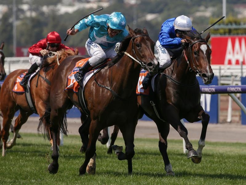 Thousand Guineas Preview | Just Horse Racing