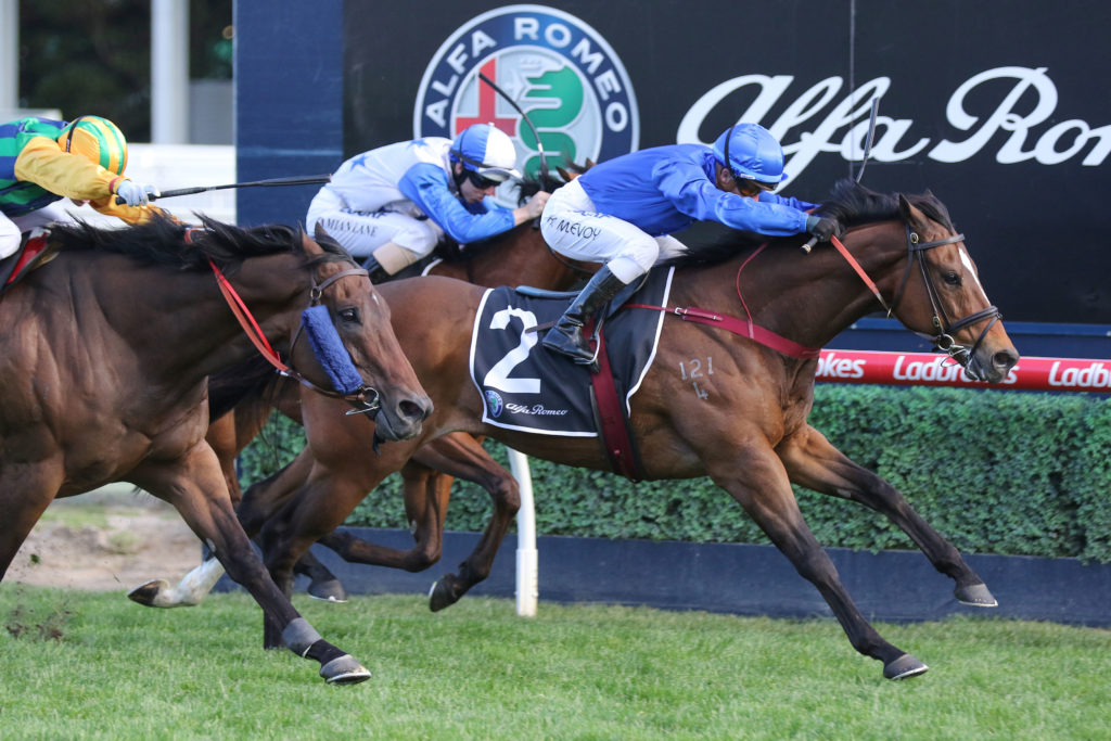 Trekking,Schillaci Stakes,Group 2_12-10-2019_WIN_Caulfield_10__2303 | Just Horse Racing