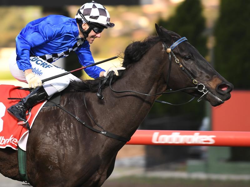 Turnbull Kentucky | Just Horse Racing