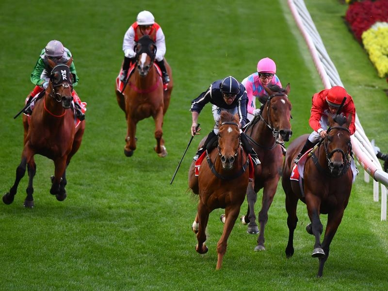 Valley Iconoclasm | Just Horse Racing