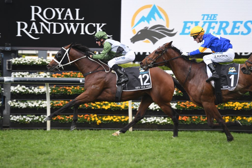 Yes Yes Yes 191019 4451 | Just Horse Racing
