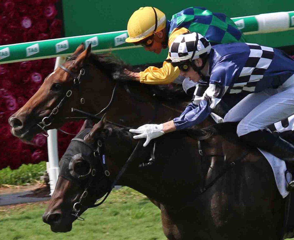eagle farm race 3 - Shalwa 1 | Just Horse Racing