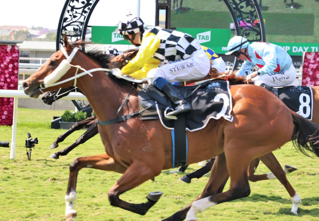 pROFIT | Just Horse Racing