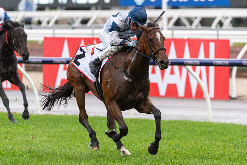 20191102-Miami Bound-4756 | Just Horse Racing