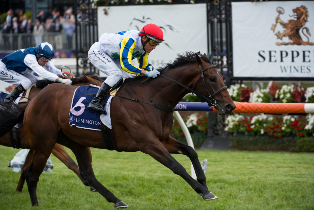 9-11-2019-Banquo-DSC_7201 | Just Horse Racing