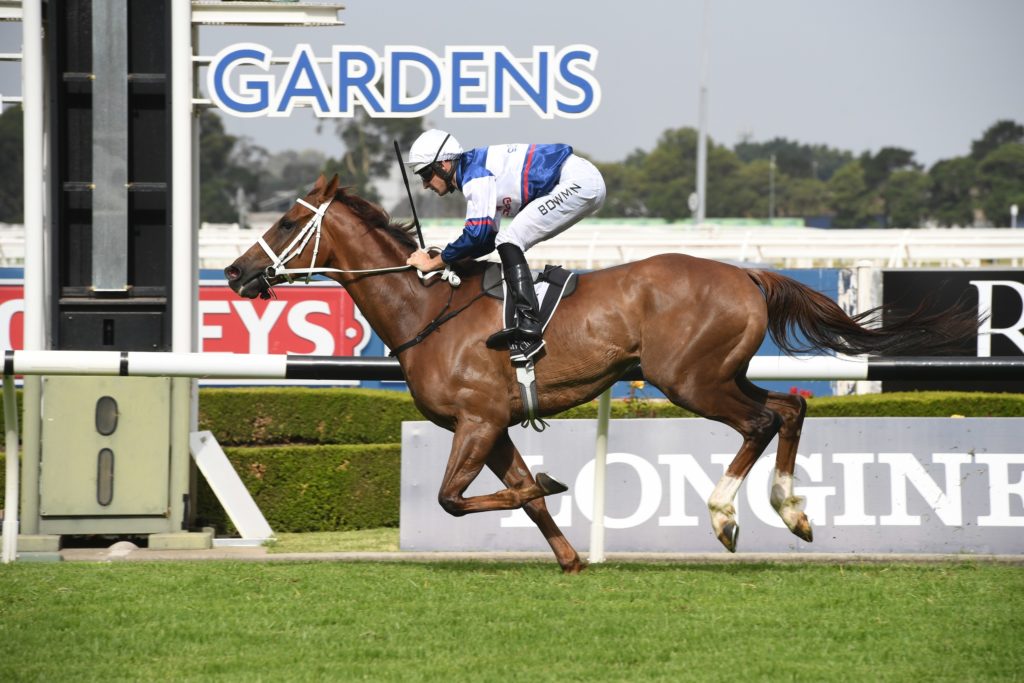 Alward 30112019 3246 | Just Horse Racing